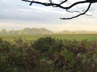 Vakantiehuis Crowcombe Omgeving 35