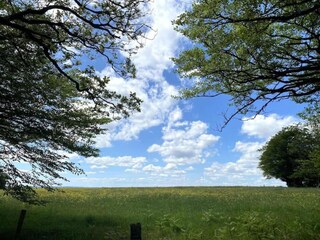 Holiday house Crowcombe Environment 37