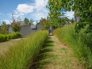Ferienhaus Maredret Außenaufnahme 11