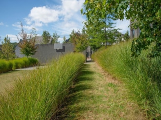 Ferienhaus Maredret Außenaufnahme 9