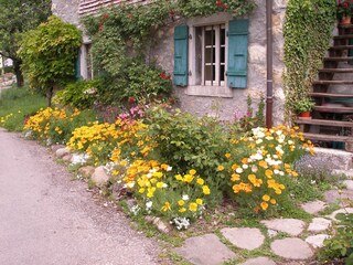 Sommerblumen vor dem Haus