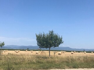 Appartamento per vacanze Jebsheim Registrazione all'aperto 10