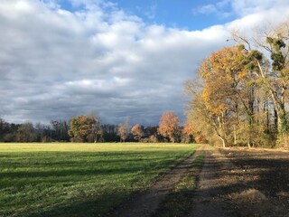 Vakantieappartement Jebsheim Buitenaudio-opname 11