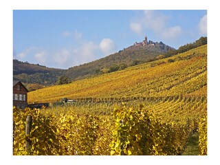 Appartamento per vacanze Jebsheim Ambiente 36