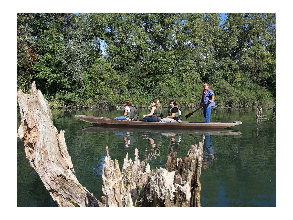 Auf dem alten Rhein Arm