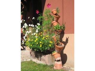Flowers on the gite