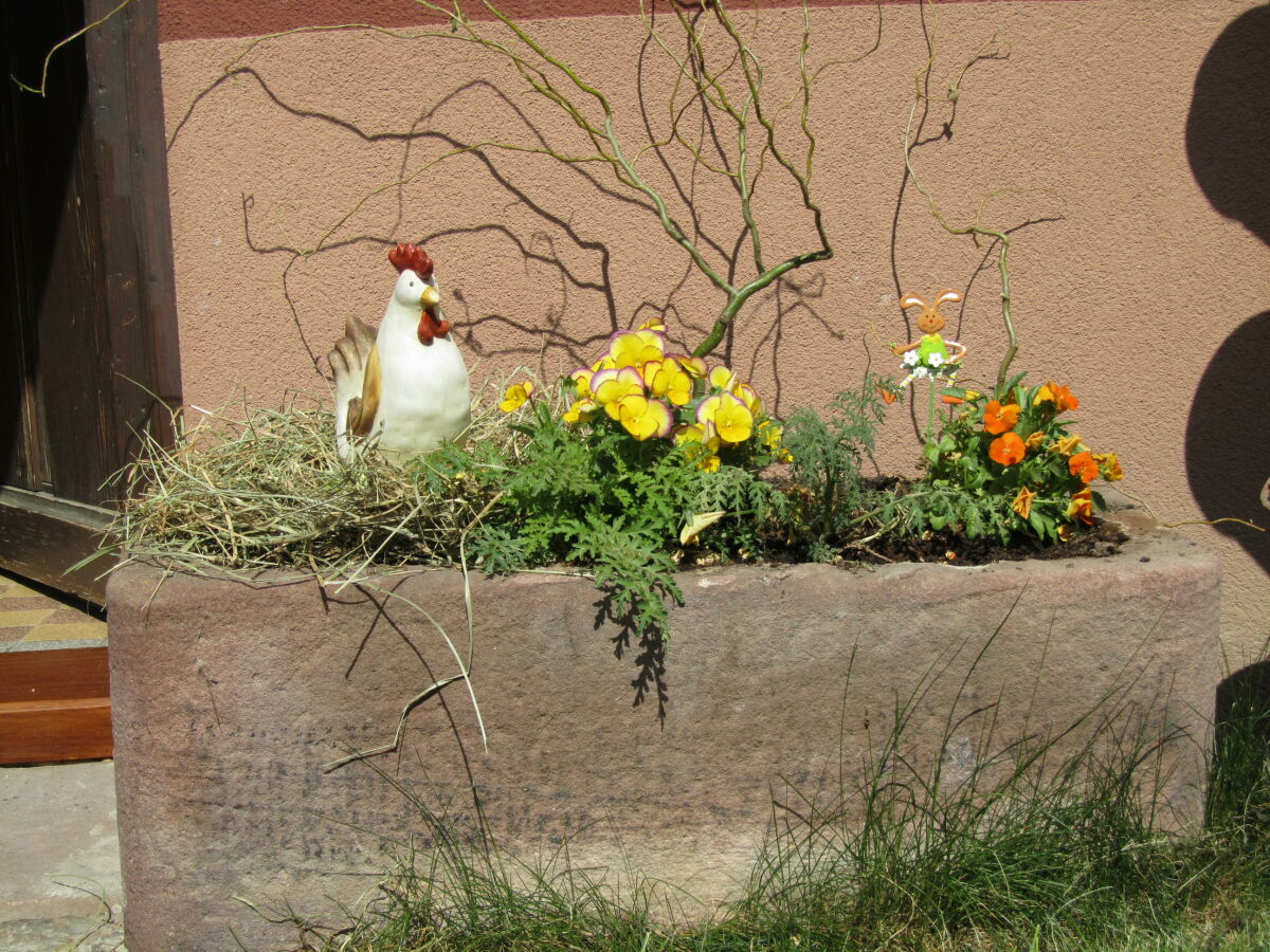 Osterhase kommt bald