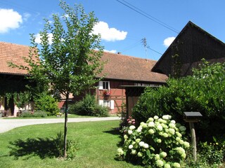 Appartamento per vacanze Jebsheim Registrazione all'aperto 9