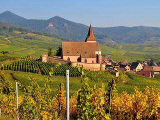 Appartamento per vacanze Jebsheim Ambiente 35