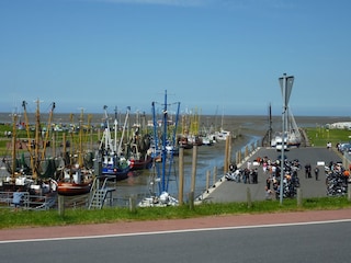 Kutterhafen Dorum Neufeld