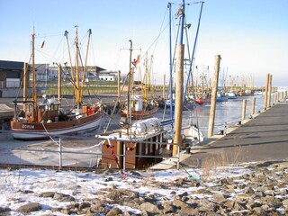 Kutterhafen im Winter