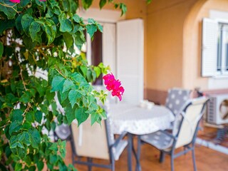 Bungaló Punta Prima  37