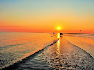 Wattlaufen in den Sonnenuntergang