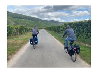 Appartamento per vacanze Zeltingen-Rachtig Ambiente 32