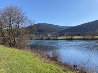 Appartamento per vacanze Zeltingen-Rachtig Ambiente 38