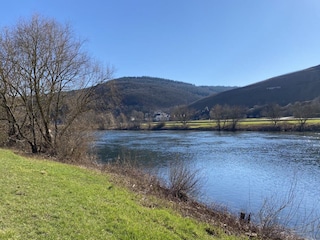 die Mosel