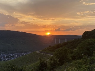 abends in den Weinbergen