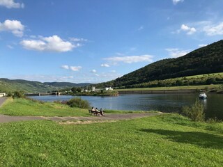 Mosel bei Zeltingen