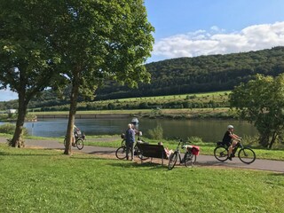 Appartamento per vacanze Zeltingen-Rachtig Ambiente 30