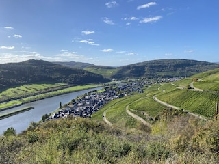 Blick auf Zeltingen