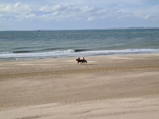 Casa per le vacanze Breskens Ambiente 22