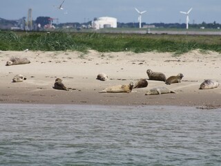 Casa per le vacanze Breskens Ambiente 20