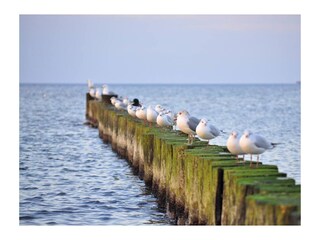 Ostseebad Kühlungsborn