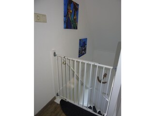 Casa per le vacanze Breskens Caratteristiche 24