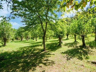 Casa per le vacanze Amandola Ambiente 55