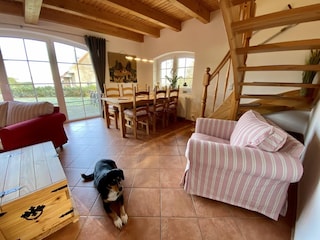 Ferienhaus Sternberg  40