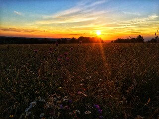 Casa per le vacanze Jöhstadt Ambiente 22