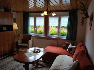 Casa per le vacanze Jöhstadt Caratteristiche 13