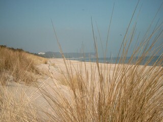 Vakantieappartement Sellin Omgeving 24
