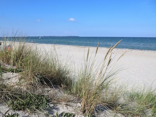 Am Strand in der Schaabe