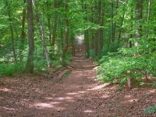 Appartamento per vacanze Leersum Ambiente 13