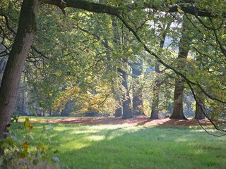 Appartamento per vacanze Leersum Ambiente 16