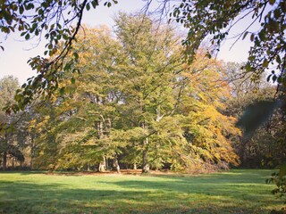 Appartamento per vacanze Leersum Ambiente 17