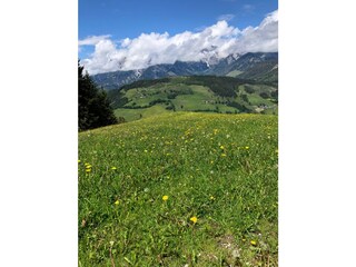 Chalet Maria Alm Environment 16