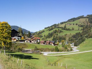 Chalet Maria Alm Omgeving 18