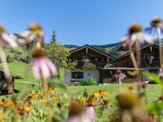 Chalet Maria Alm Omgeving 20