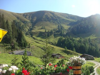 Chalet Maria Alm Environment 22