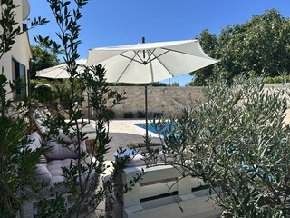 Blick auf den großen beheizten Pool mit schöner Poolter