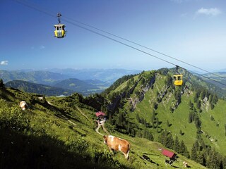Wandergebiet Hochgrat