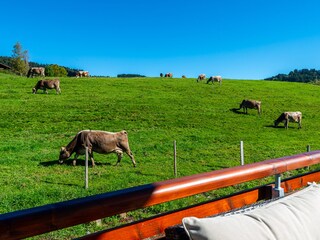 Blick von der Terrasse