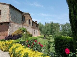 Type de propriété : Ferme Certaldo Enregistrement extérieur 2
