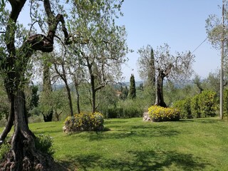 Farmhouse Certaldo Outdoor Recording 18