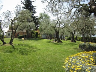 Fattoria Certaldo Registrazione all'aperto 15