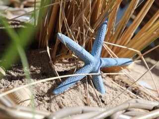 Appartamento per vacanze Westerland Registrazione all'aperto 3