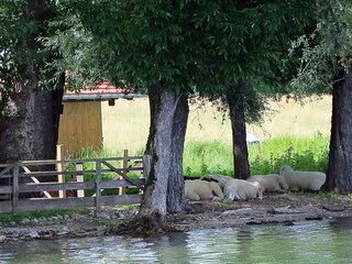Apartamento de vacaciones Breitbrunn Entorno 16