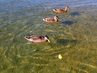 Apartamento de vacaciones Breitbrunn Entorno 24